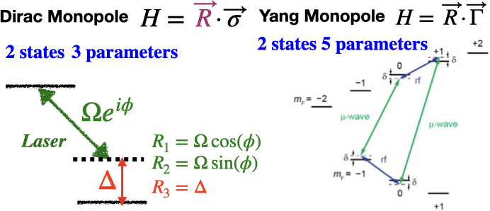 Compare Dirac with Yang Monopole in Experiment